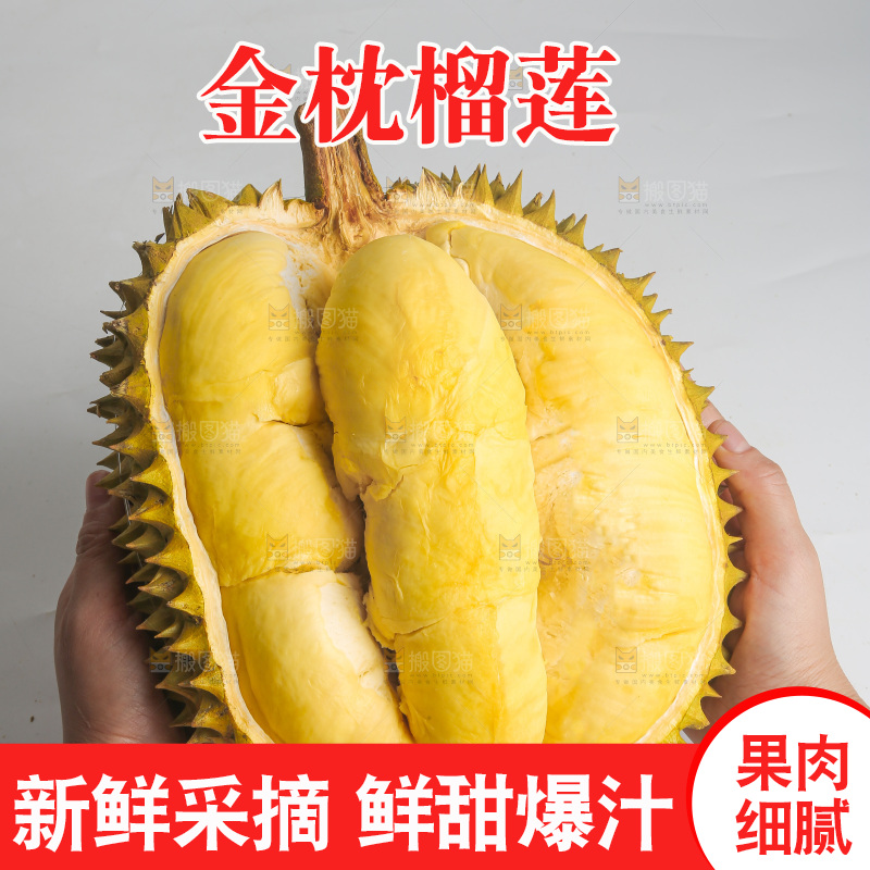 金枕榴莲