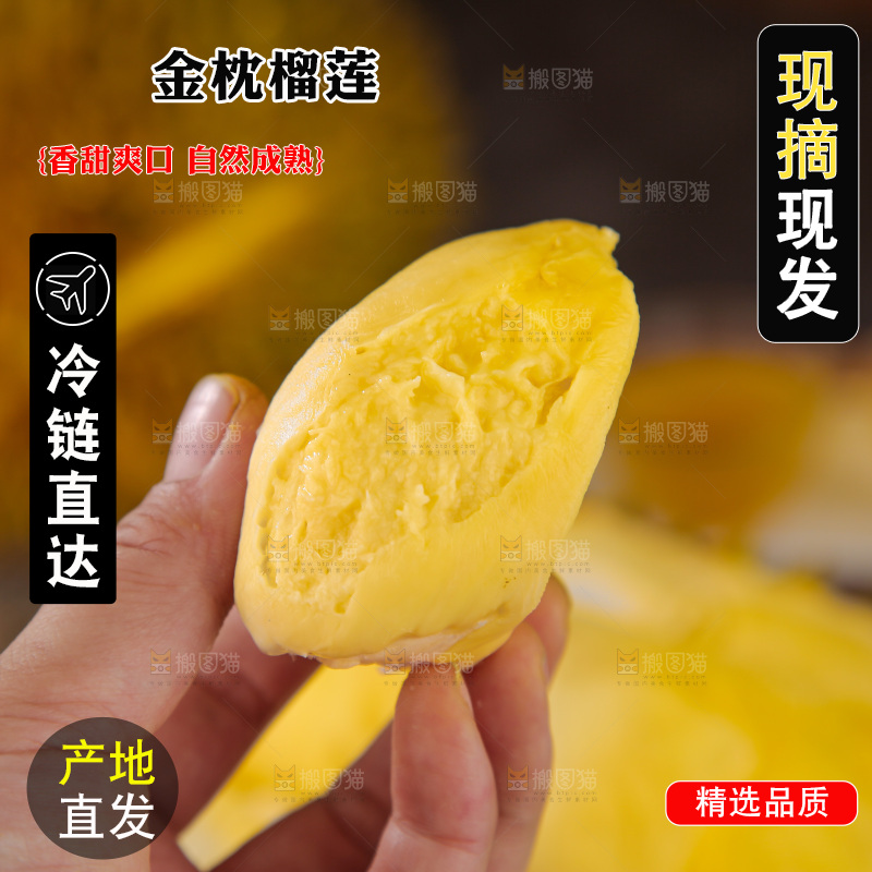 金枕榴莲