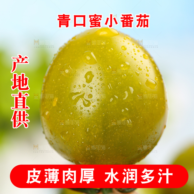 青口蜜小番茄