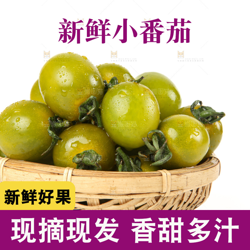 青口蜜小番茄