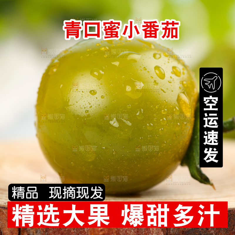 青口蜜小番茄