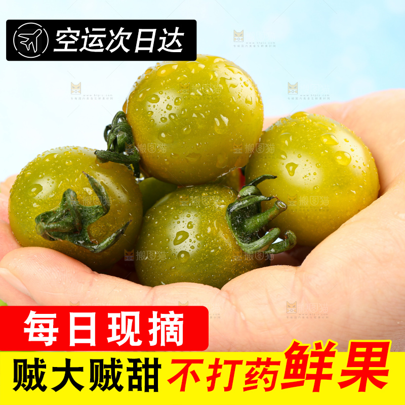 青口蜜小番茄