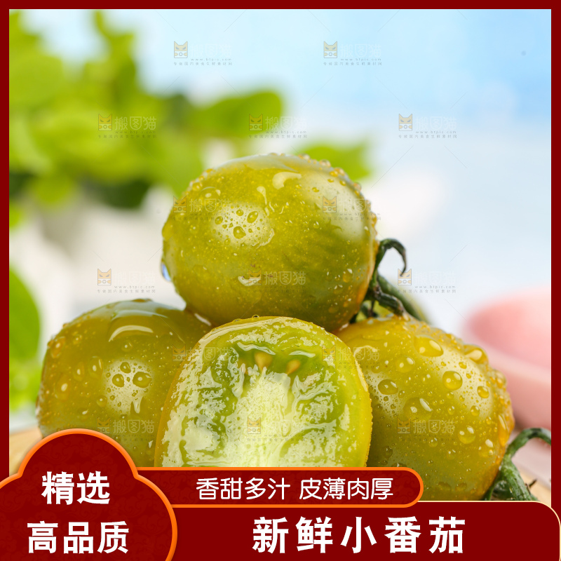 青口蜜小番茄