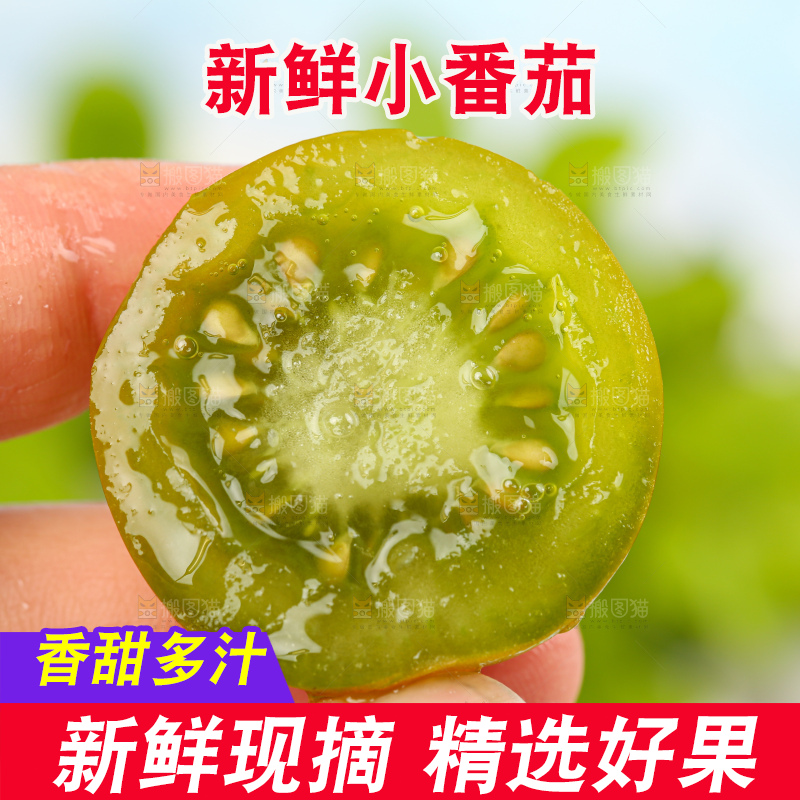 青口蜜小番茄