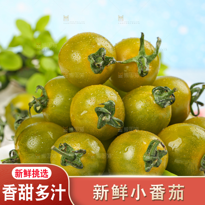 青口蜜小番茄
