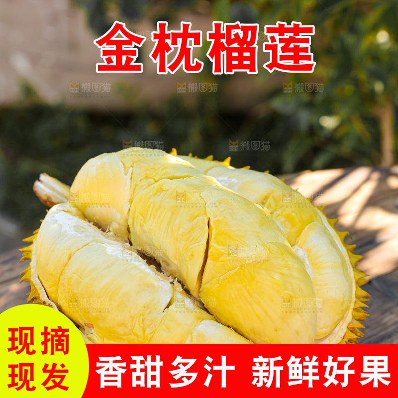 金枕榴莲
