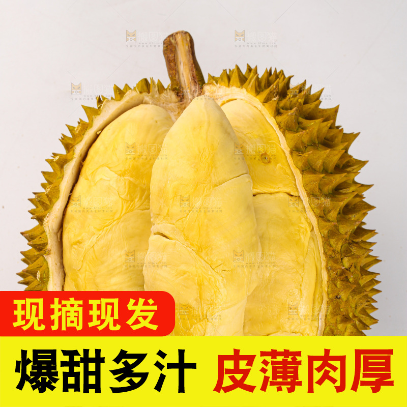 金枕榴莲