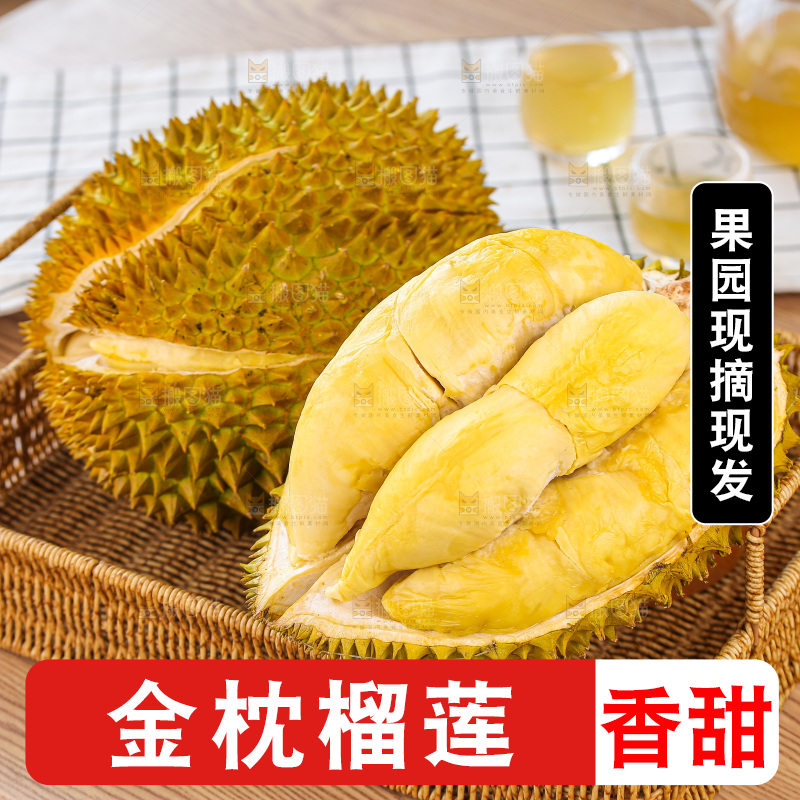 金枕榴莲