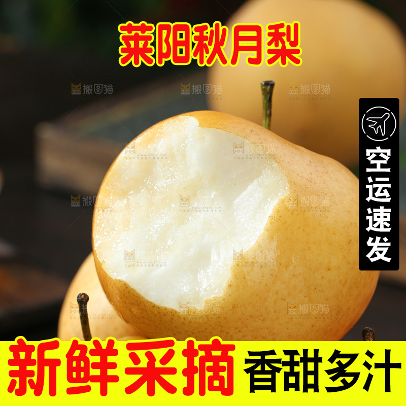 秋月梨