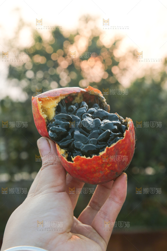 吊瓜子