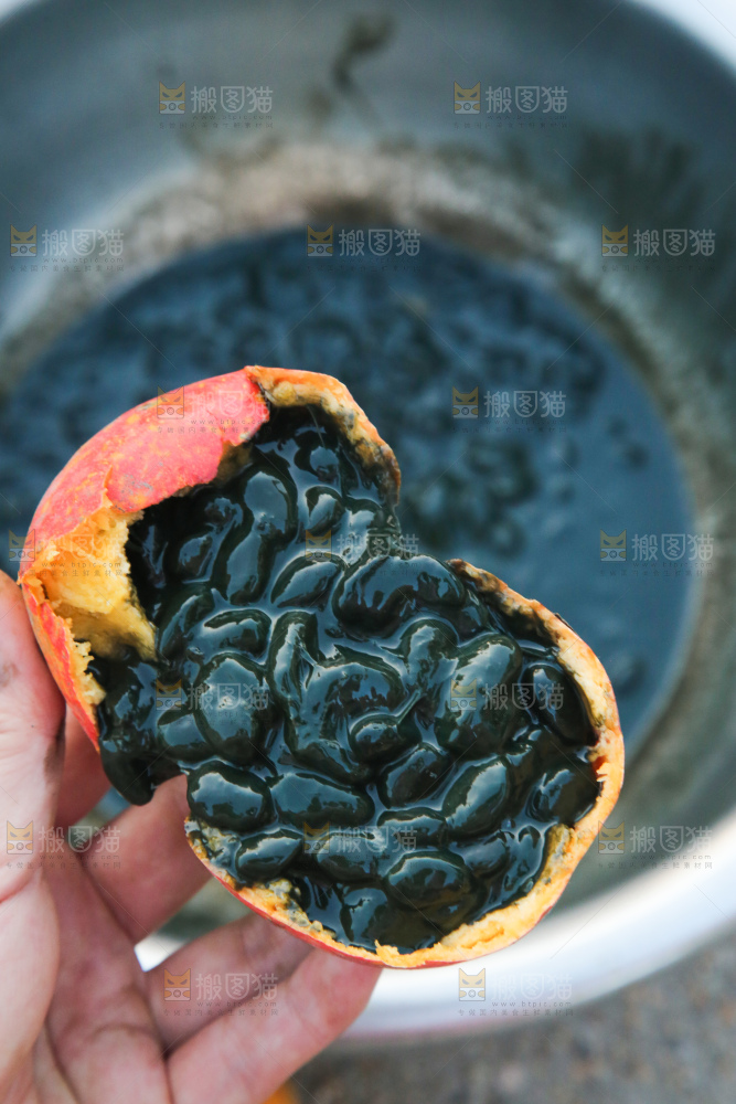 吊瓜子