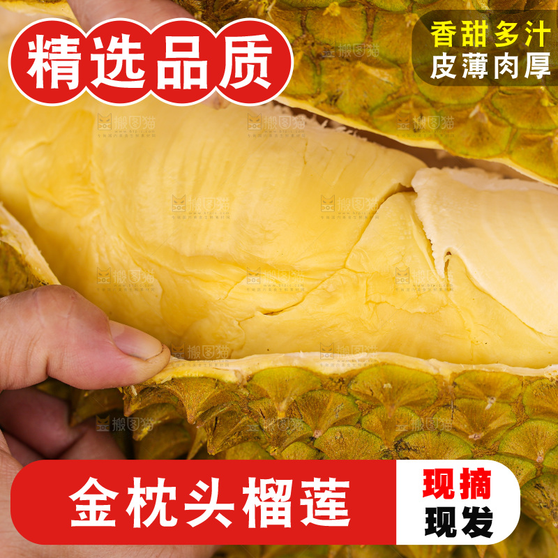 金枕榴莲