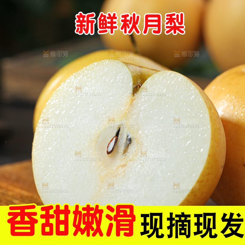秋月梨