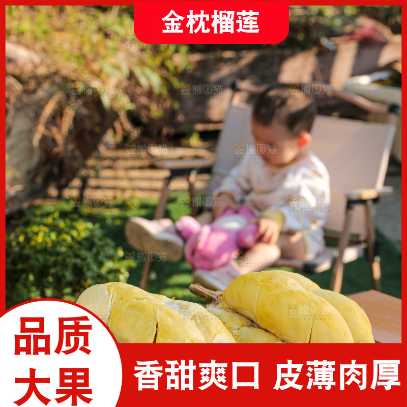 金枕榴莲