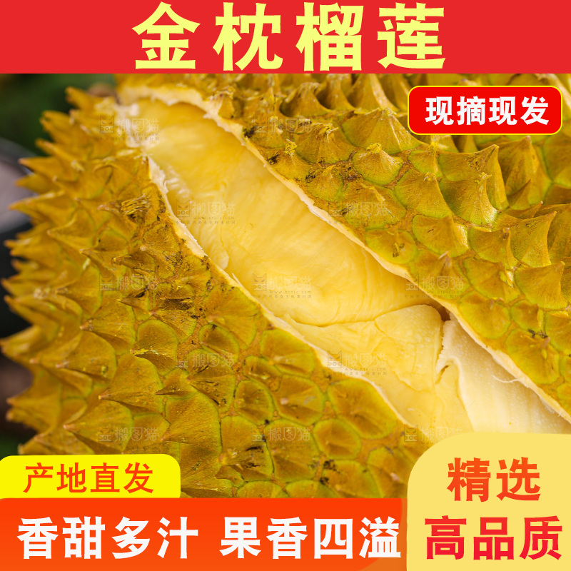 金枕榴莲