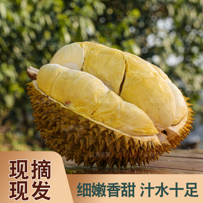 金枕榴莲
