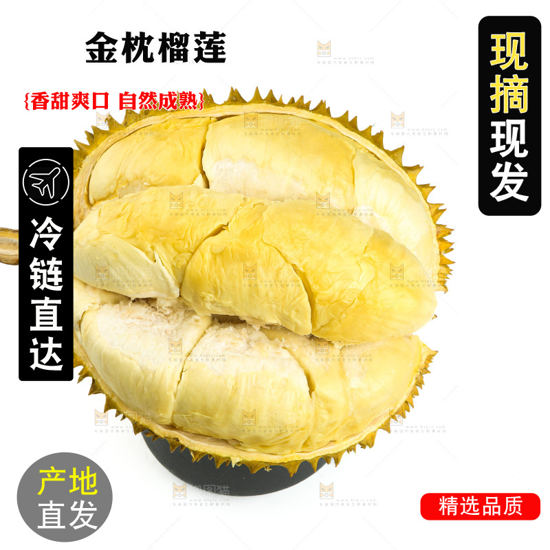 金枕榴莲