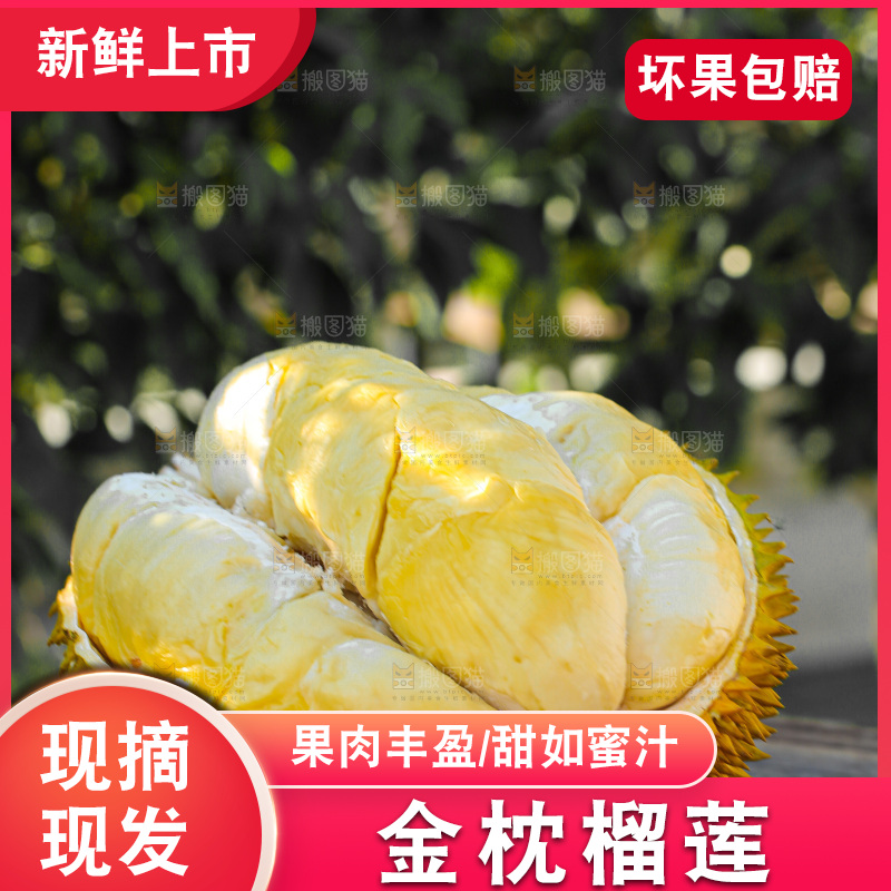 金枕榴莲
