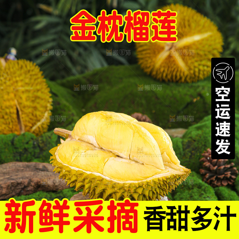 金枕榴莲