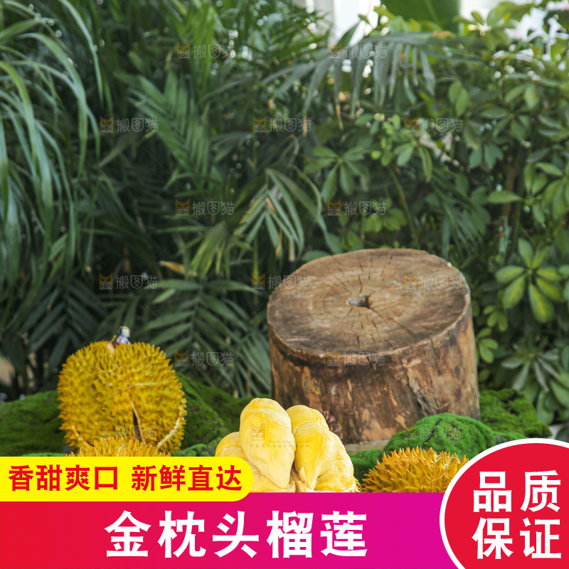 金枕榴莲
