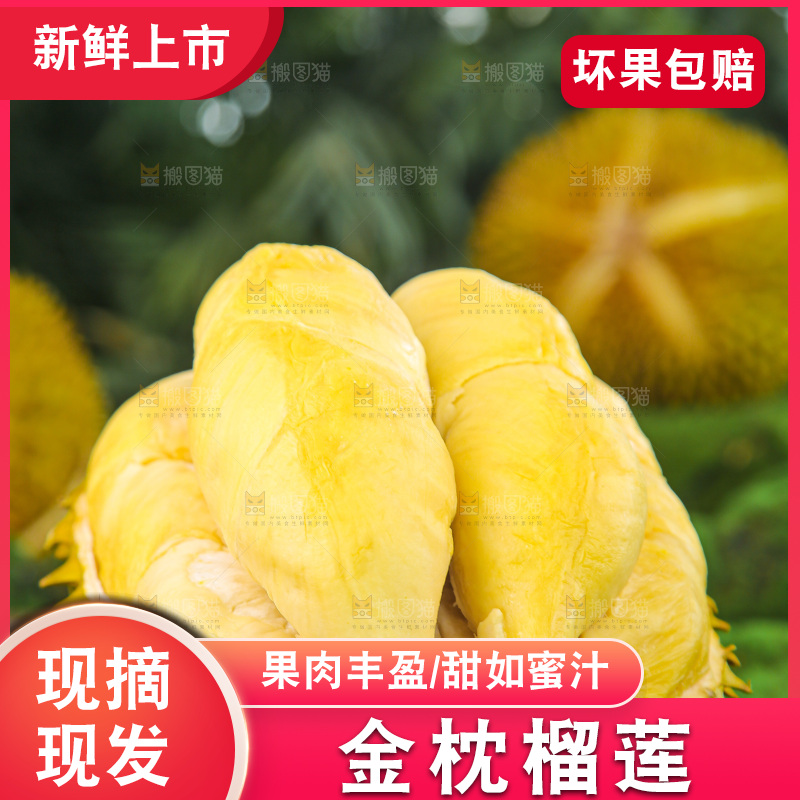 金枕榴莲