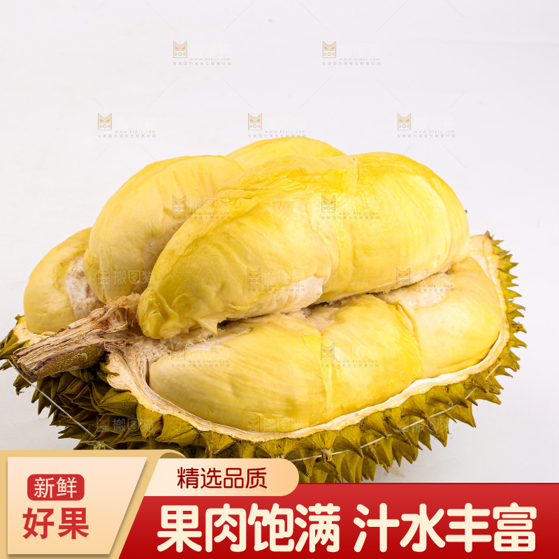 金枕榴莲