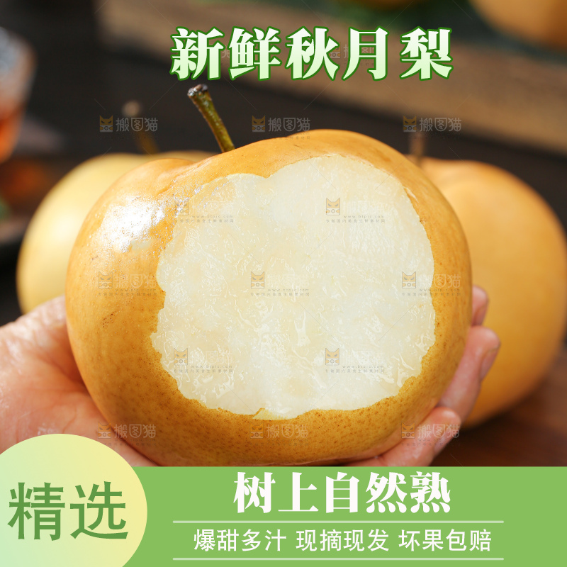 秋月梨