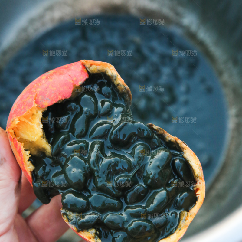吊瓜子
