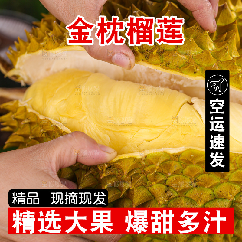 金枕榴莲