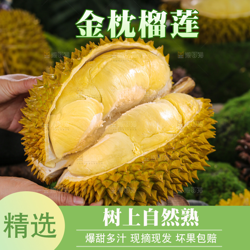 金枕榴莲