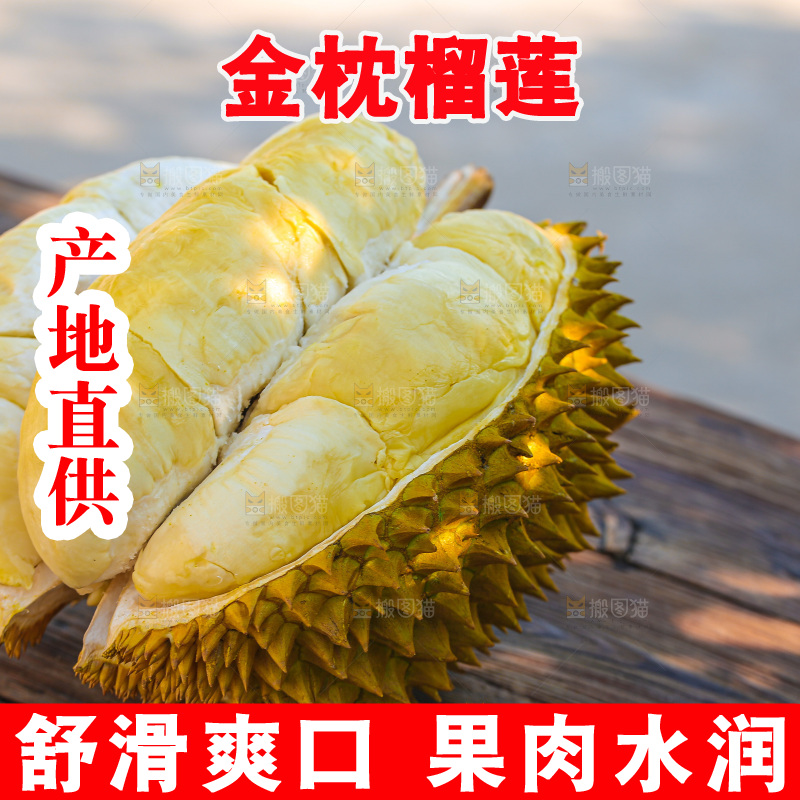 金枕榴莲
