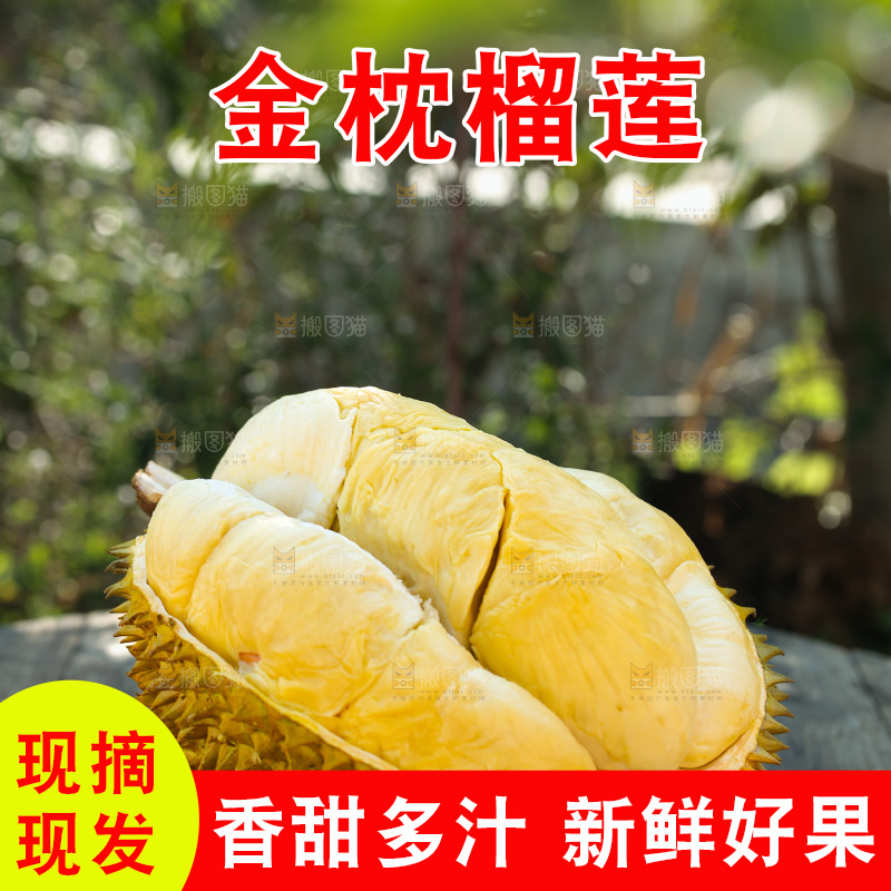 金枕榴莲