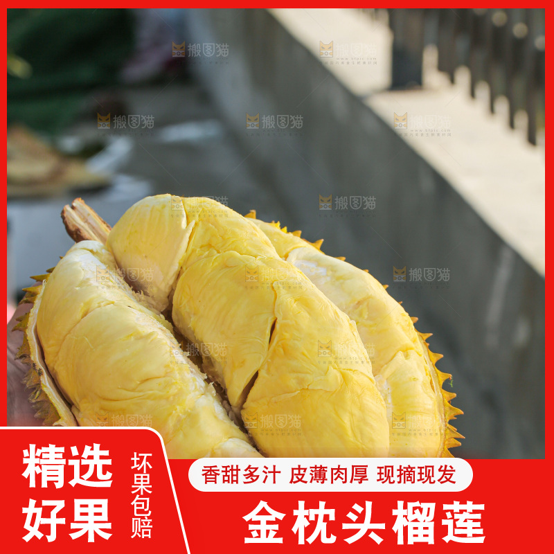 金枕榴莲