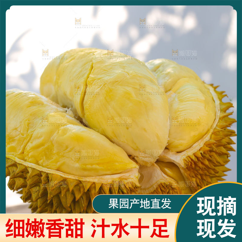 金枕榴莲