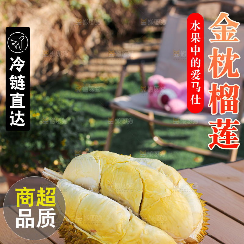 金枕榴莲