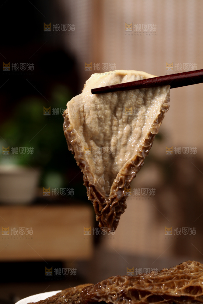 羊肚菌
