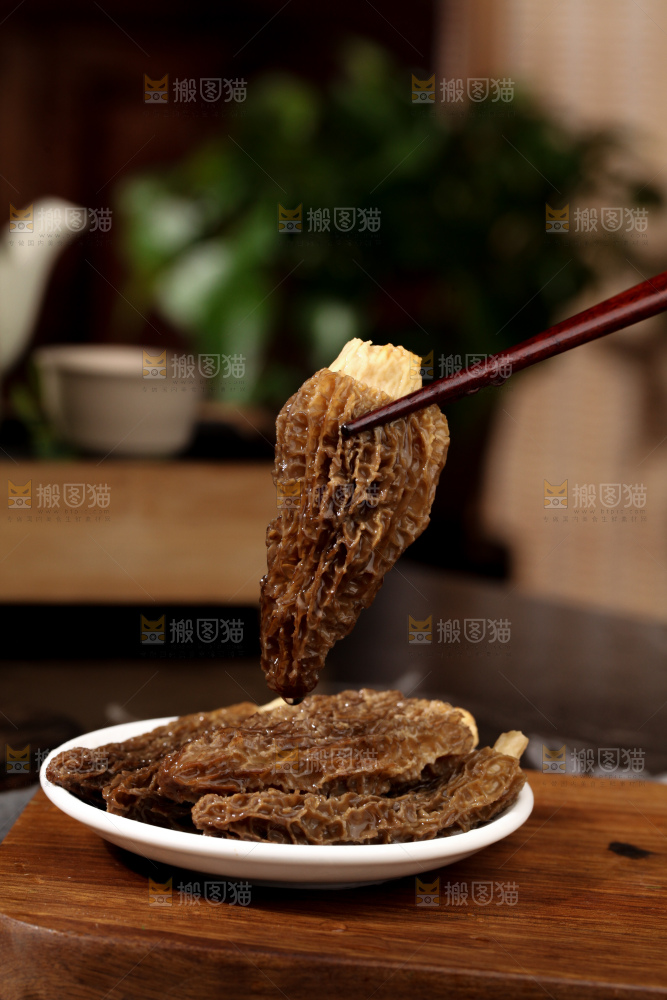 羊肚菌