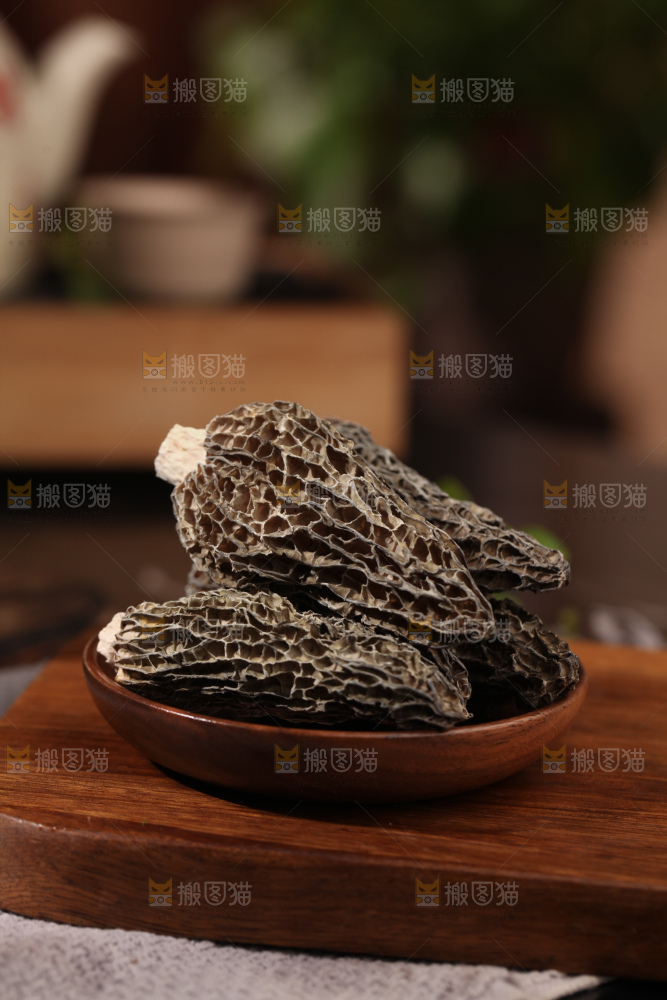羊肚菌