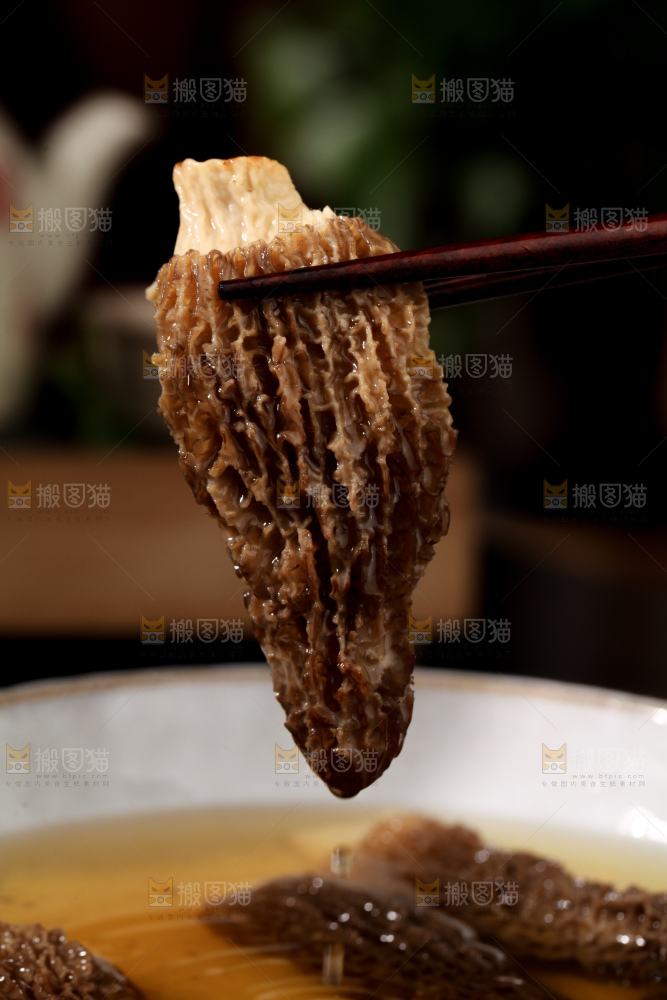 羊肚菌