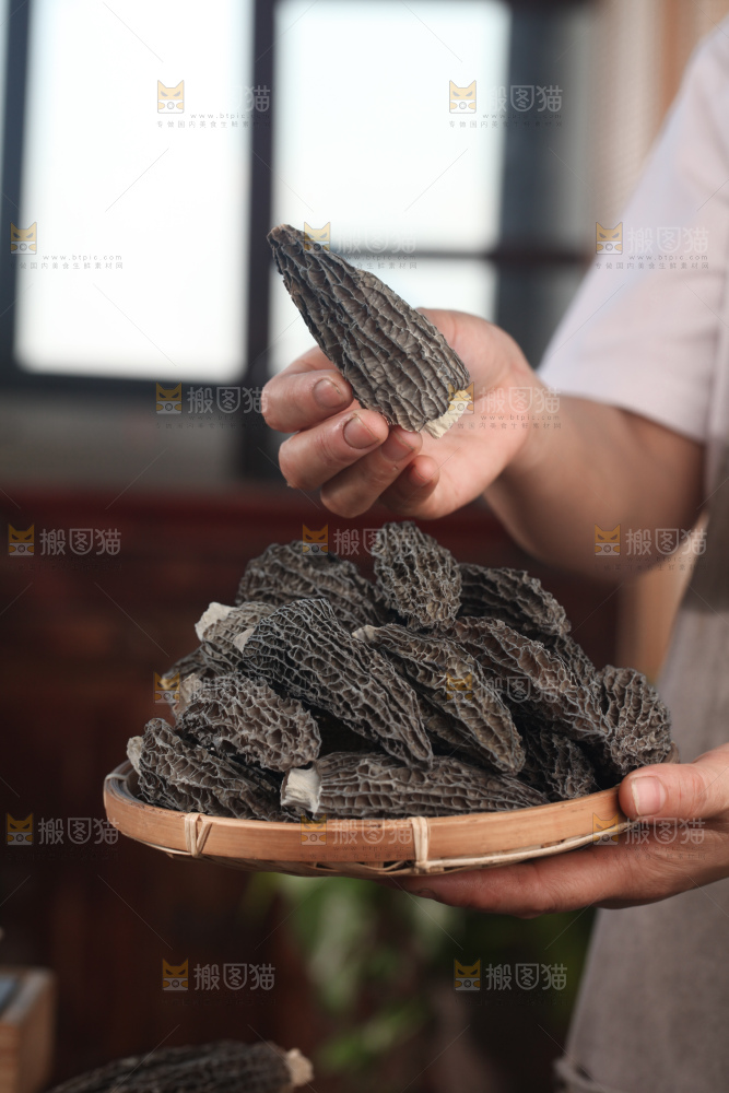 羊肚菌