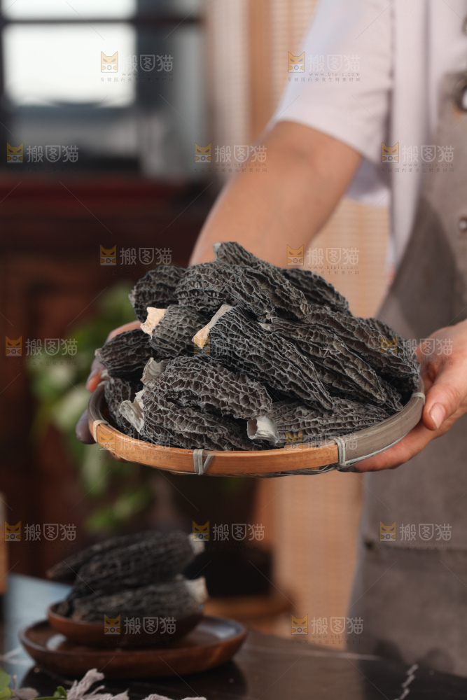 羊肚菌