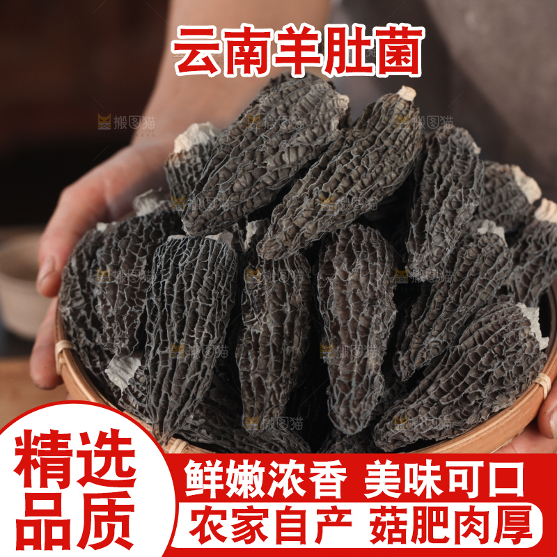 羊肚菌