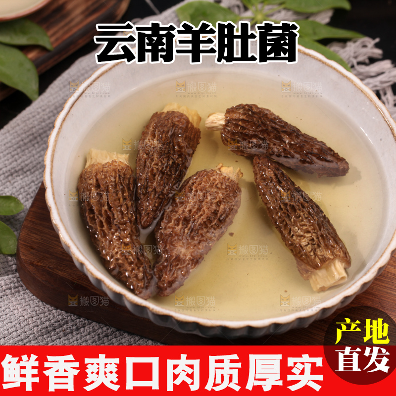羊肚菌