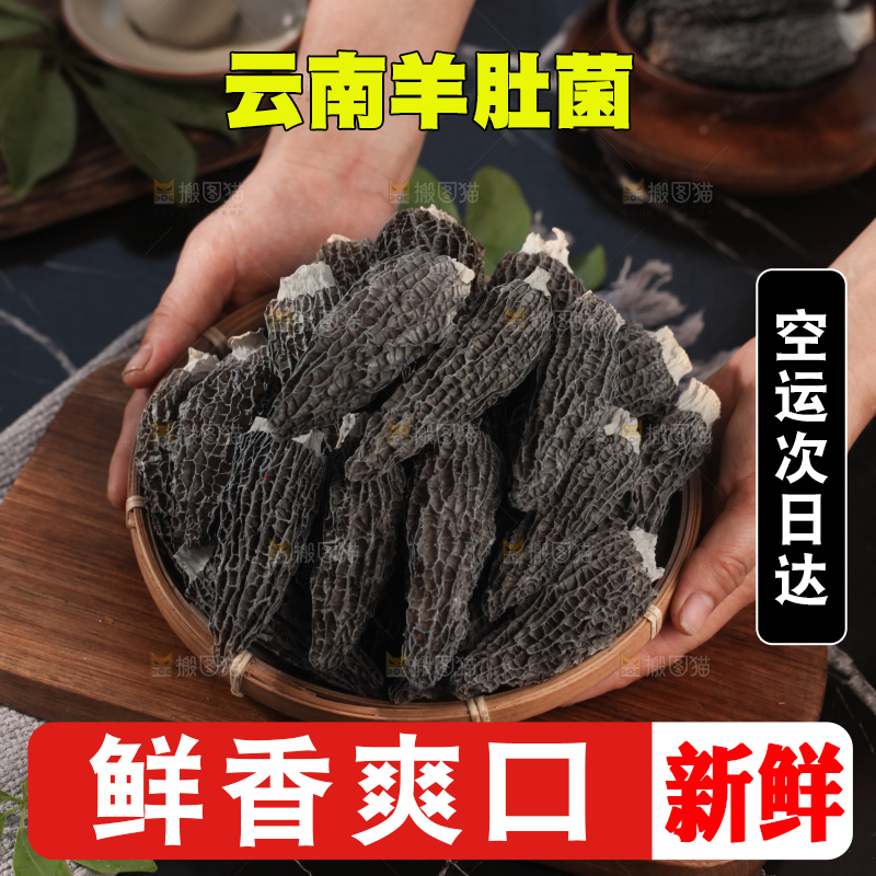 羊肚菌
