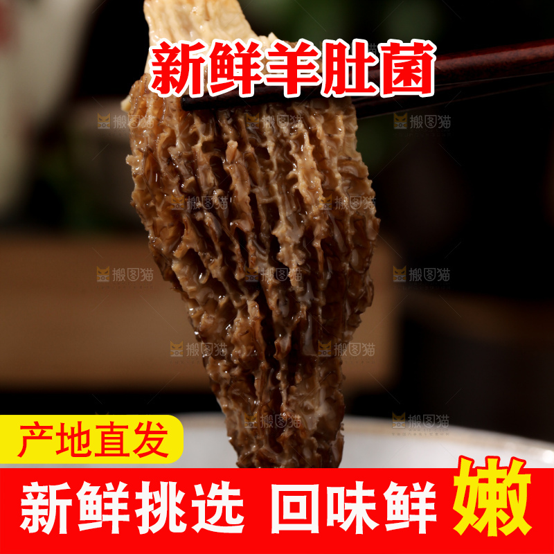 羊肚菌
