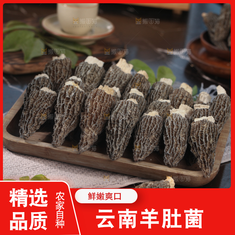 羊肚菌
