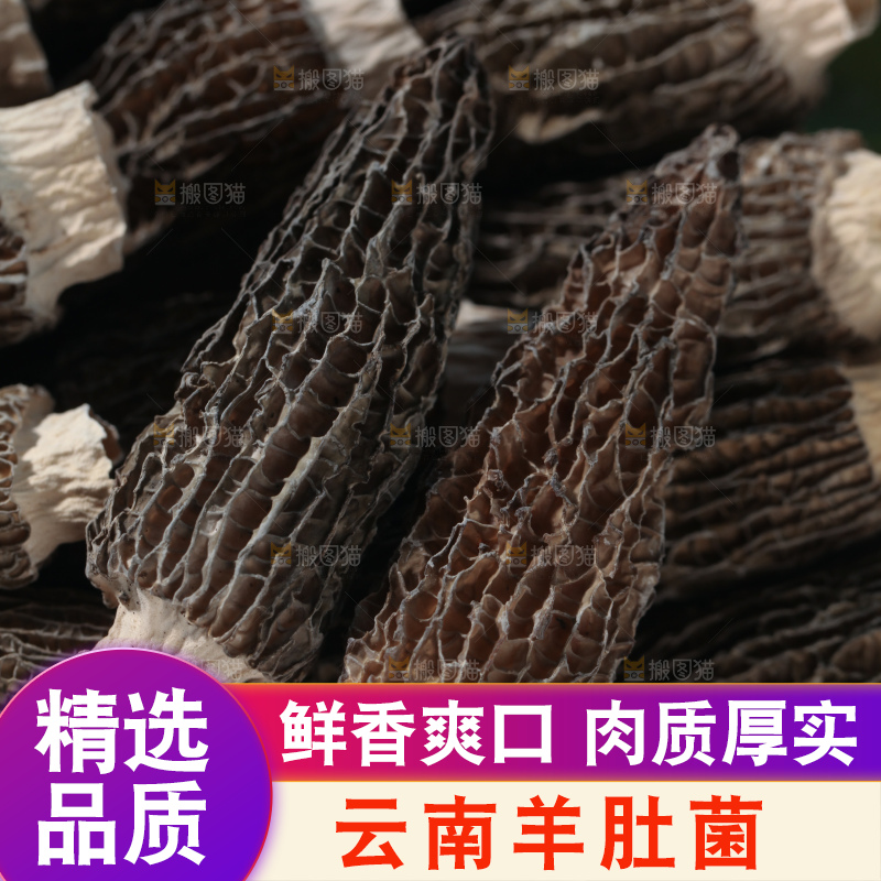 羊肚菌