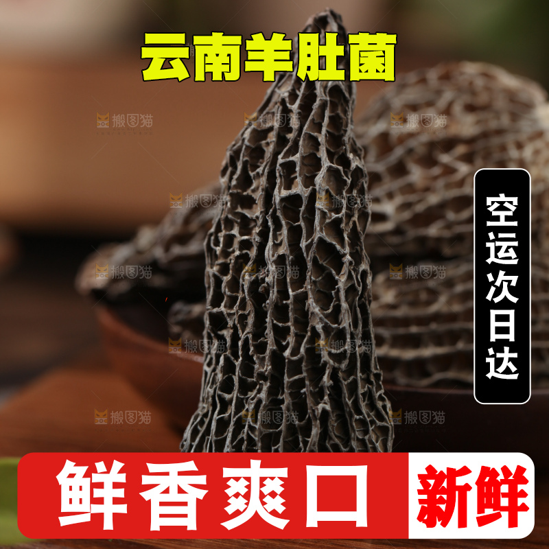 羊肚菌