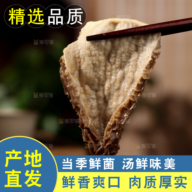 羊肚菌