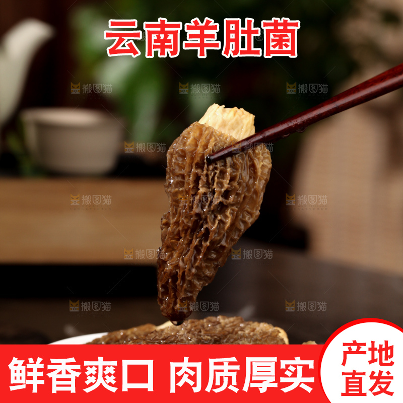 羊肚菌